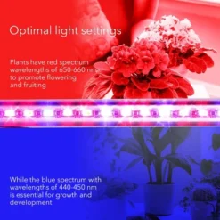Dartwood LED Grow Lights For Indoor Plants With Red Blue Spectrum - Plant Grow Light With 9 Brightness Levels, Auto On Off Function -Home Improvement Store GUEST 00dbe90d 2471 439c a428 ae6c053a48d8 1