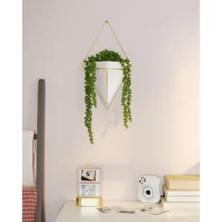 Trigg Wall Display Planter White/Brass - Umbra -Home Improvement Store GUEST 019cea81 6c8e 402f bc16 abce01cee0de