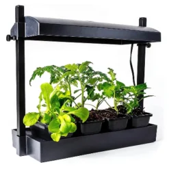 SunBlaster 1600218 T5HO Indoor Canopy Micro Grow Light Garden System With 1, 12-Inch 11-Watt 6400K Strip Light & 1 NanoTech T5 Reflector, Black 7 SunBlaster 1600218 T5HO Indoor Canopy Micro Grow Light Garden System With 1, 12-Inch 11-Watt 6400K Strip Light & 1 NanoTech T5 Reflector, Black -Home Improvement Store GUEST 02dc1883 af79 4b04 bbf7 467ddc3ca9fc