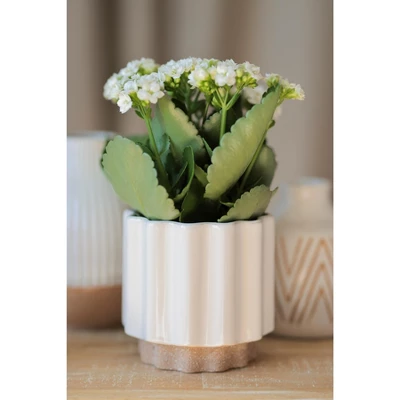 Loma White Planter Vase - Shiraleah 3 Loma White Planter Vase - Shiraleah