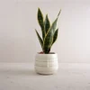 White Swirl Stoneware Planter - Foreside Home & Garden -Home Improvement Store GUEST 048b91ee 6928 41e6 8a77 cabe0552121c