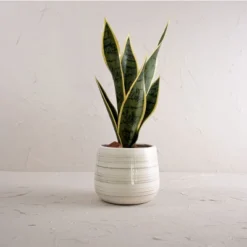 White Swirl Stoneware Planter - Foreside Home & Garden