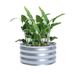 LuxenHome 2ft Round Galvanized Metal Raised Garden Bed Planter 23 LuxenHome 2ft Round Galvanized Metal Raised Garden Bed Planter -Home Improvement Store GUEST 11c35d07 0935 4d6e 9f27 f0be9385e128