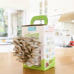 Back To The Roots Organic Mushroom Mini Grow Kit Pearl Oyster -Home Improvement Store GUEST 14af7100 855c 4d85 be8b ca6ce390920d