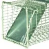 Little Giant LT1 18 Inch Galvanized Wire Mesh And Reinforced Steel Live Trap With Single Door Entry For Human And Secure Animal Removal -Home Improvement Store GUEST 159142c3 72af 4d36 acc0 3d230fc4c1c1