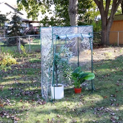 Sunnydaze Decor Sunnydaze Outdoor Deluxe Portable Large Potted Plant And Starter Tomato Plant Greenhouse With Roll-Up Door - Clear 8 Sunnydaze Decor Sunnydaze Outdoor Deluxe Portable Large Potted Plant And Starter Tomato Plant Greenhouse With Roll-Up Door - Clear - Image 6