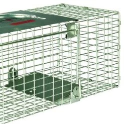 Little Giant LT1 18 Inch Galvanized Wire Mesh And Reinforced Steel Live Trap With Single Door Entry For Human And Secure Animal Removal -Home Improvement Store GUEST 196c2a87 45d6 4bbf b8a4 1244a8018ae7