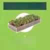 Window Garden Microgreens Grow Kit - Hydroponic Growing Kit -Home Improvement Store GUEST 19840351 e1b8 4202 910e 370b79932274