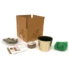 Hyacinth Carnegie Kit White PreChilled Bulb With Iron Brass Fluted Planter - Van Zyverden -Home Improvement Store GUEST 205f37db 2cd6 4f52 a99e 715e0cbe297d