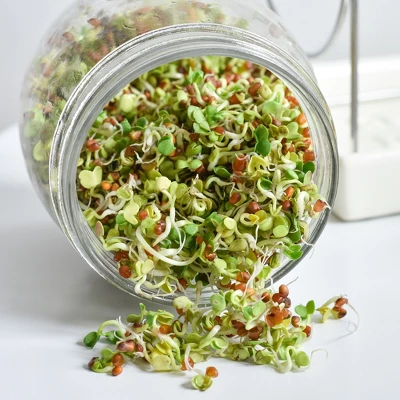 Tribest GEO Sprouting Jar System With Stainless Steel Rack And Ceramic Base Plate – Clear 7 Tribest GEO Sprouting Jar System With Stainless Steel Rack And Ceramic Base Plate – Clear - Image 5