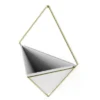 Trigg Wall Display Planter White/Brass - Umbra