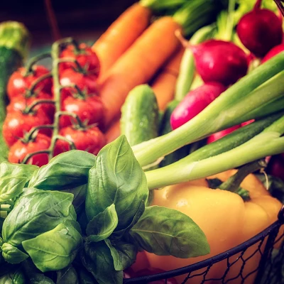 Back To The Roots 20pk Organic USA Herbs And Vegetable Seeds 7 Back To The Roots 20pk Organic USA Herbs And Vegetable Seeds - Image 5