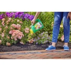 Miracle-Gro Shake 'N Feed All Purpose Continuous Release Plant Food 4.5lb -Home Improvement Store GUEST 336d009d b5ce 4a76 beec 25c002711f01