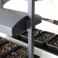 SunBlaster SL1600199 T5HO Micro T5 Grow Light Garden W/Reflector & 4 Seedling Trays For Flower, Herbs, And Veggie Seed Starting Or Plant Propagation -Home Improvement Store GUEST 35e757ff c8a2 42c3 89d2 7de6e7df246a