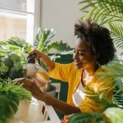 Back To The Roots All Purpose Plant Food 1.5lb -Home Improvement Store GUEST 3f6d251c b8d7 4d56 bf20 80216fc4f3e4