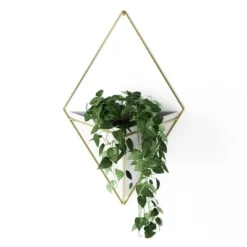 Trigg Wall Display Planter White/Brass - Umbra -Home Improvement Store GUEST 409b6993 9330 401e 9966 88bc530b8af8