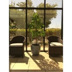 17" Kante Lightweight Concrete Modern Seamless Outdoor Planter Gray - Rosemead Home & Garden, Inc. -Home Improvement Store GUEST 40faec83 3524 4613 ad51 3c842925bb80