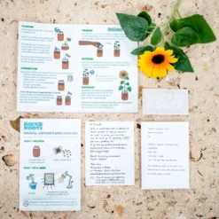 Back To The Roots Organic Sunflower Grow Kit -Home Improvement Store GUEST 4135958c b71c 4ba1 beff 5c992cca4459