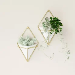 Set Of 2 Trigg Wall Display Planters White/Brass - Umbra -Home Improvement Store GUEST 434e776c 6ab1 45ed affd e09b5070d6a9