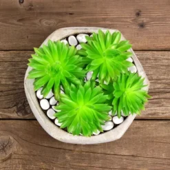 Solar Garden Stones - 500-Pack Glow In The Dark Pathway Pebble Lights - Decorative Glowing Rocks For Flowerbeds And Walkways By Pure Garden (Blue) -Home Improvement Store GUEST 457e802c d9a7 44ca 9b2f d98f2f84edc0