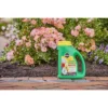 Miracle-Gro Shake 'N Feed All Purpose Continuous Release Plant Food 4.5lb -Home Improvement Store GUEST 576c6934 ffb3 477c aa3b fcb6d619c04b