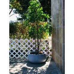 Rosemead Home & Garden, Inc. 16" Wide Kante Lightweight Outdoor Concrete Oval Bowl Decorative Planter Slate Gray -Home Improvement Store GUEST 5b0ad229 bd30 4d1b b427 fef0aec1b15f
