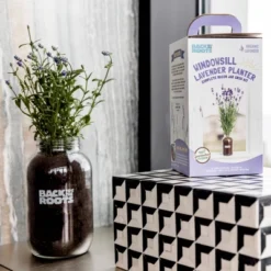 Back To The Roots Organic Lavender Grow Kit -Home Improvement Store GUEST 5c28df74 fc68 4cf3 9e12 3963a13766f1
