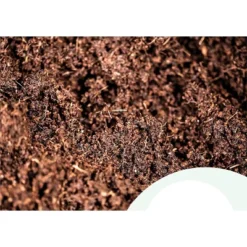 Window Garden 20 Cavity Seed Propagation Kits - 2 Pack 5 Window Garden 20 Cavity Seed Propagation Kits - 2 Pack -Home Improvement Store GUEST 5d98e4f3 91cc 40a0 a7c3 0f25b4921530