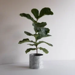 White Metal Planter - Foreside Home & Garden -Home Improvement Store GUEST 6336c2b1 cf98 445f 8c0d 2624d5362095