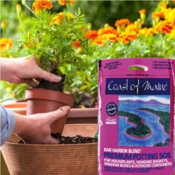 Coast Of Maine OMRI Listed Bar Harbor Blend Organic Compost Potting Soil Blend For Container Gardens And Flower Pots, 8 Quart Bag (2 Pack) 9 Coast Of Maine OMRI Listed Bar Harbor Blend Organic Compost Potting Soil Blend For Container Gardens And Flower Pots, 8 Quart Bag (2 Pack) -Home Improvement Store GUEST 635dcbc6 ba16 4648 a3d5 cd9dad00f34a 2