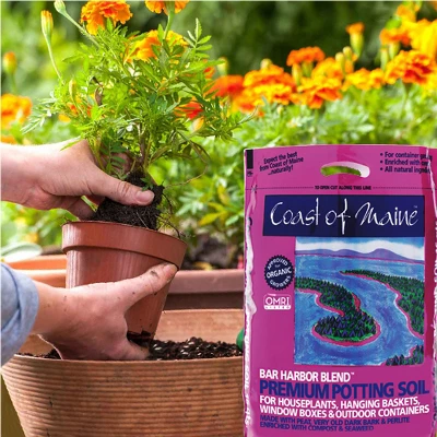 Coast Of Maine OMRI Listed Bar Harbor Blend Organic Compost Potting Soil Blend For Container Gardens And Flower Pots, 8 Quart Bag 5 Coast Of Maine OMRI Listed Bar Harbor Blend Organic Compost Potting Soil Blend For Container Gardens And Flower Pots, 8 Quart Bag - Image 3