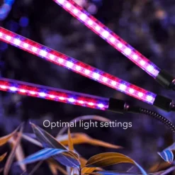 Dartwood LED Grow Lights For Indoor Plants With Red Blue Spectrum - Plant Grow Light With 9 Brightness Levels, Auto On Off Function (3 Pack) -Home Improvement Store GUEST 64e7f763 cf31 4488 8e7b 2876844a1da3