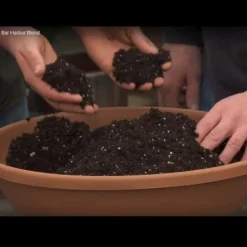 Coast Of Maine OMRI Listed Bar Harbor Blend Organic Compost Potting Soil Blend For Container Gardens And Flower Pots, 8 Quart Bag 9 Coast Of Maine OMRI Listed Bar Harbor Blend Organic Compost Potting Soil Blend For Container Gardens And Flower Pots, 8 Quart Bag -Home Improvement Store GUEST 6f658ffc 5729 4d7c 9e14 b674b6189bb6