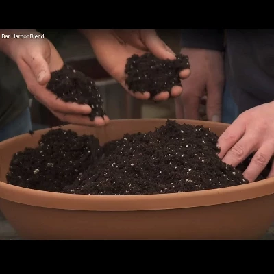 Coast Of Maine OMRI Listed Bar Harbor Blend Organic Compost Potting Soil Blend For Container Gardens And Flower Pots, 8 Quart Bag 6 Coast Of Maine OMRI Listed Bar Harbor Blend Organic Compost Potting Soil Blend For Container Gardens And Flower Pots, 8 Quart Bag - Image 4