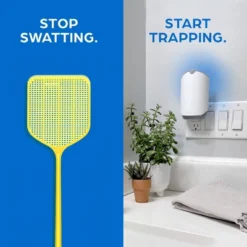 Zevo Indoor Flying Insect Trap Starter Kit For Fruit Flies, Gnats, And House Flies - 4ct -Home Improvement Store GUEST 7834abf2 96a7 47a1 a34b 37477aab55c6