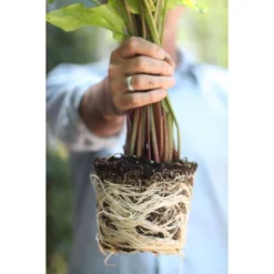 Good Dirt Naturals Indoor/Outdoor Plant Food - 15 Fl Oz -Home Improvement Store GUEST 7911ed93 91c5 452d 80a6 57f63806691c