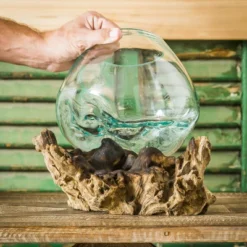 Evergreen Glass Planter On Driftwood -Home Improvement Store GUEST 7b1e3546 4c30 4ced a76f 977ccc9f6860