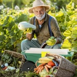 Nature Spring Garden Storage Wagon Cart With Seat And Removable Tool Tray - Green, Black, Gray 5 Nature Spring Garden Storage Wagon Cart With Seat And Removable Tool Tray - Green, Black, Gray -Home Improvement Store GUEST 7cb8c43d 7f95 42b3 a0b6 06ec3772e94c
