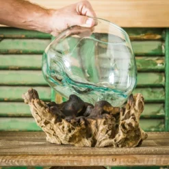 Evergreen Glass Planter On Driftwood -Home Improvement Store GUEST 81738de2 6ba7 407e b8ea 164100ee32ae