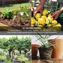 Palmetto 18 Pound Organic Grade 3 Coarse Vermiculite Planting Soil Additive For Greenhouse Gardening, Hydroponic, And Landscaping, 4 Cubic Feet -Home Improvement Store GUEST 88e6e075 4a97 42c0 b3f6 1768493d503a