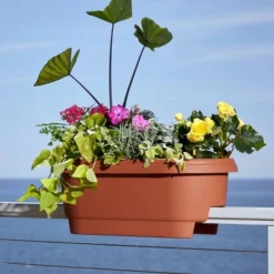 Bloem 24" Wide Rectangular Deck Rail Planter -Home Improvement Store GUEST 8a3431c1 786d 466b 8ac9 4f97109f630b