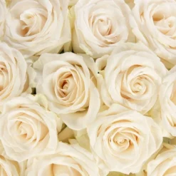 Dozen Fresh Cut White Roses With Vase -Home Improvement Store GUEST 8dc5f8c3 c0f7 48d0 900f 8e792d965976