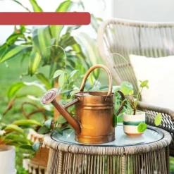 Homarden 81oz Galvanized Copper Watering Can With Removable Spout