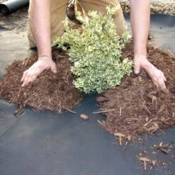 DeWitt Weed Barrier Pro 3-Ounce Commercial And Home Garden Landscape Weed Block Barrier Heavy-Duty Non-Woven Ground Cover Fabric, Black -Home Improvement Store GUEST 8ec83369 f28f 49ca 8c05 1a8805e12ebc