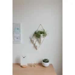 Set Of 2 Trigg Wall Display Planters White/Brass - Umbra -Home Improvement Store GUEST 8f6e000c f073 4135 896a 990be610137b
