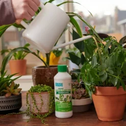 Back To The Roots All Purpose Plant Food 1.5lb -Home Improvement Store GUEST 8fbcf9d4 ba24 4538 b5cb ed69acfa3bc0