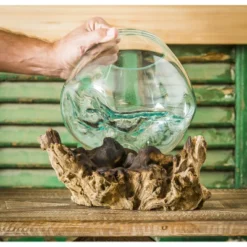 Evergreen Glass Planter On Driftwood -Home Improvement Store GUEST 948a4139 9e2a 4630 aa88 8ded0fc3f6d0