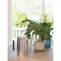 Gardener's Supply Company Stainless Steel Watering Can | Stylish And Modern Design With Easy Grip Wooden Handle & Long Spout To Prevent Spillage | -Home Improvement Store GUEST 95dc78fb b7b8 4f43 9373 18aebd9a4bbc