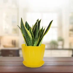 Unique Bargains Plastic Petal Shaped Home Garden Plant Planter Flower Pot With Tray 6"x5"x4.13" 1 Pc -Home Improvement Store GUEST 98551510 842f 4dc5 92d0 b695e0e5bbda