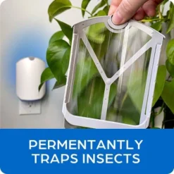 Zevo Indoor Flying Insect Trap Starter Kit For Fruit Flies, Gnats, And House Flies - 4ct -Home Improvement Store GUEST 99ddb359 fc80 4202 ba95 d2052c9bbb3b